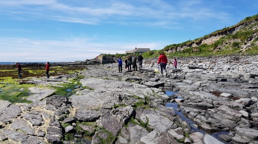 Blog Newark 20180616_111805 SCAPE