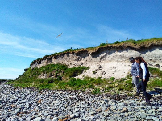 Blog Newark IMG_111747570 Liz