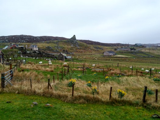 IMG_20190327_113513126_HDR